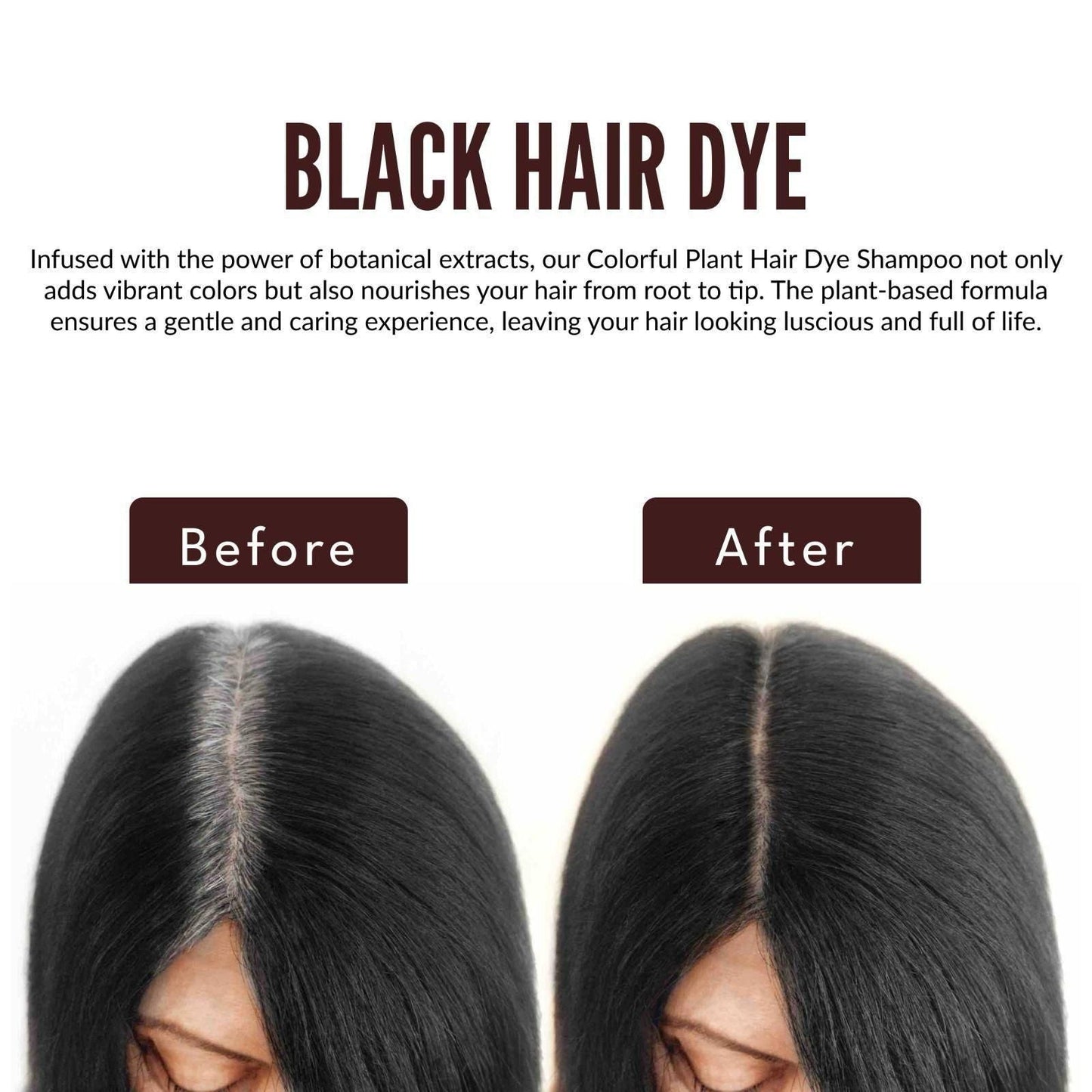 Revitalize Your Hair with Colorful Plant Hair Dye 100ml Comb Shampoo (Pack of 2) mkp0fp-jd