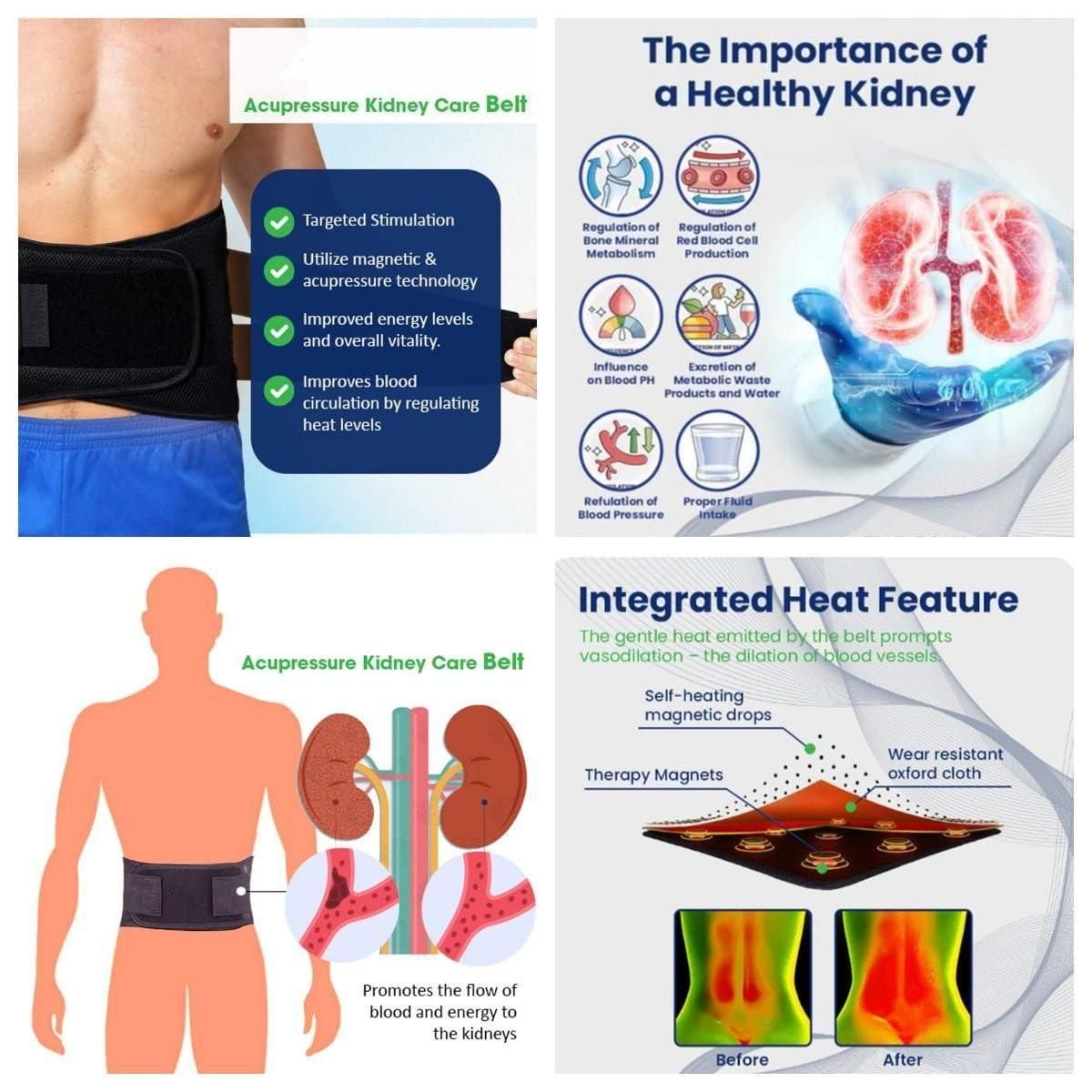 Acupressure Kidney Care Belt mkp0fp-jd