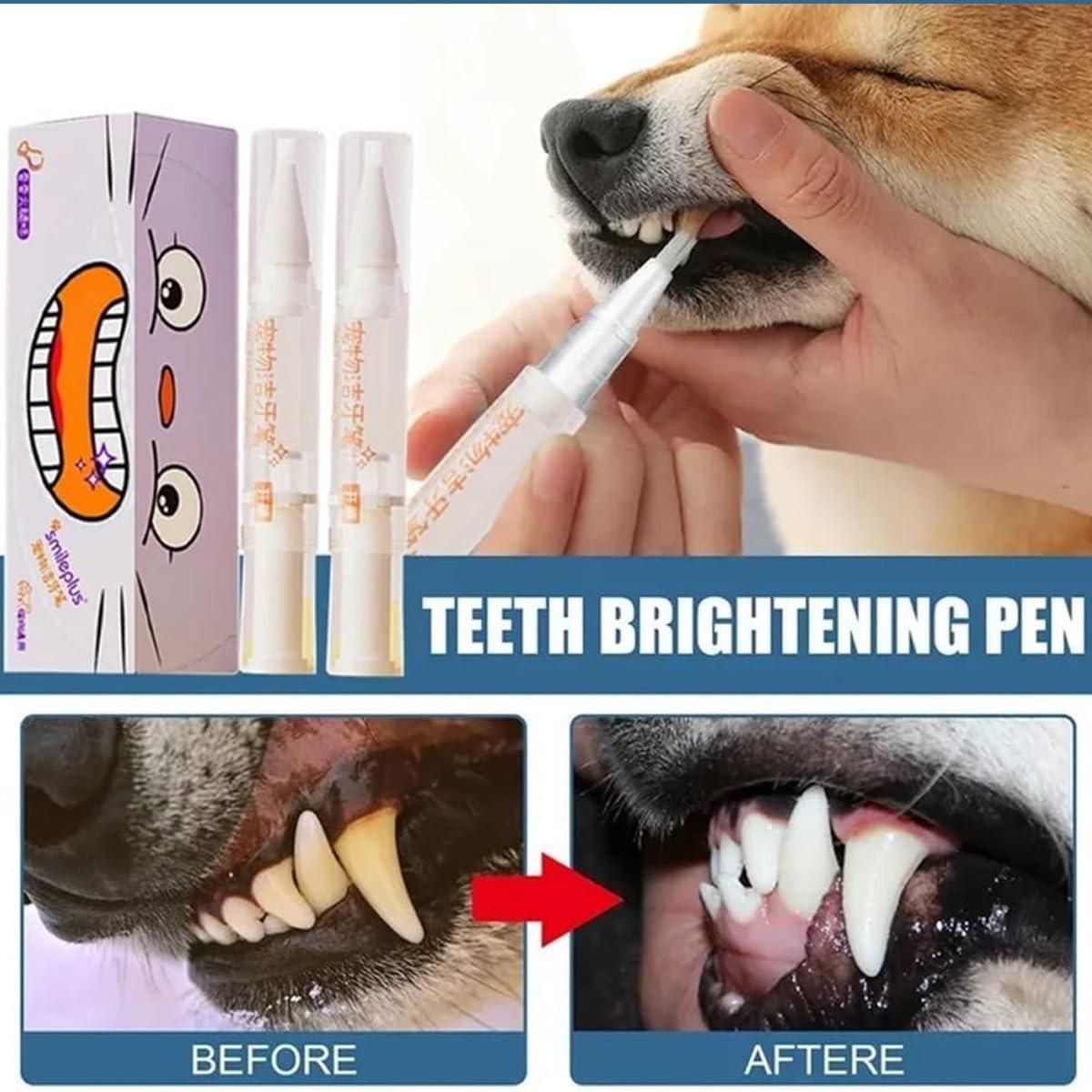 Dog Pen Toothbrush mkp0fp-jd