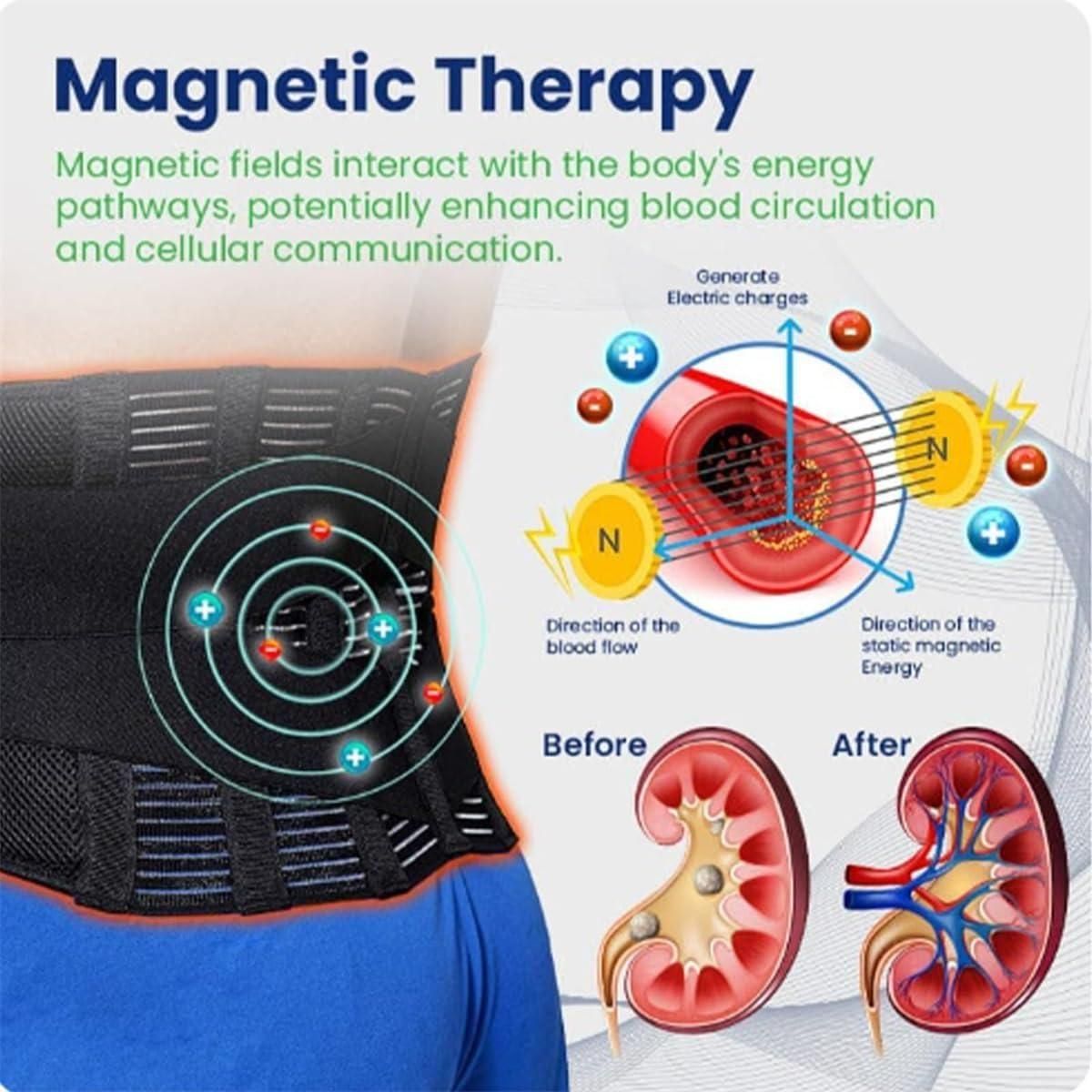 Acupressure Kidney Care Belt mkp0fp-jd